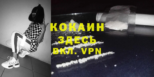 PSILOCYBIN Белокуриха