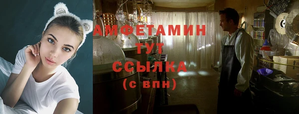 индика Баксан