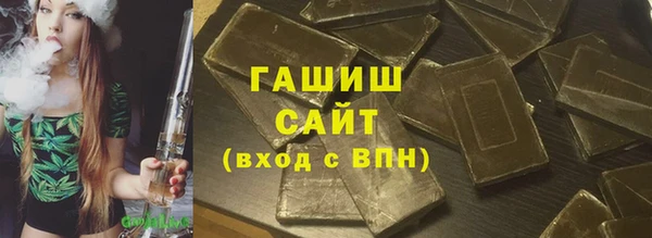 сатива Новозыбков