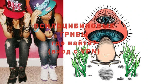 крисы Беломорск