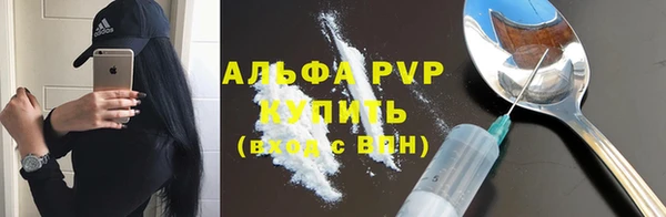 шишки Белоозёрский