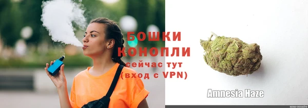 шишки Белоозёрский