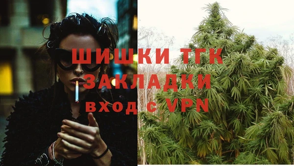 шишки Белоозёрский