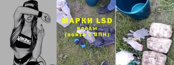 индика Баксан
