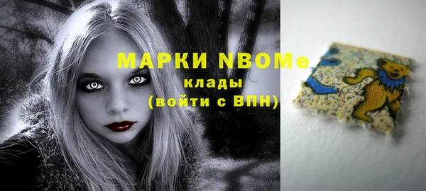 шишки Белоозёрский