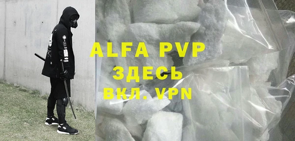 PSILOCYBIN Белокуриха