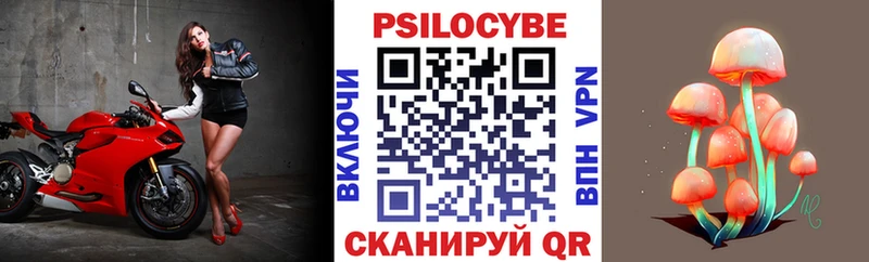 Псилоцибиновые грибы мицелий  Кизилюрт 